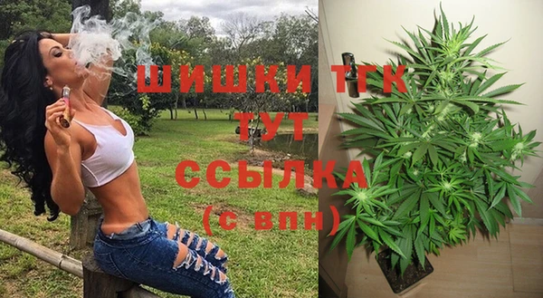 крисы Бугульма